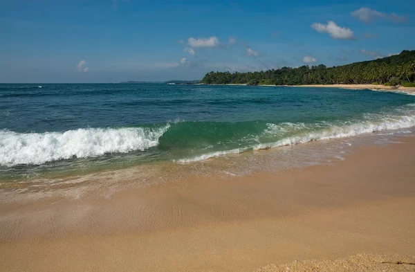 Pantai surga dengan gelombang pirus hijau — Stok Foto
