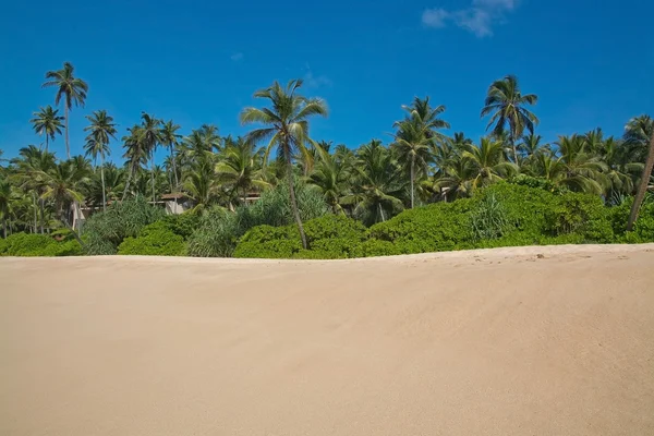 Rajská pláž s tyrkysově zelené vlny — Stock fotografie