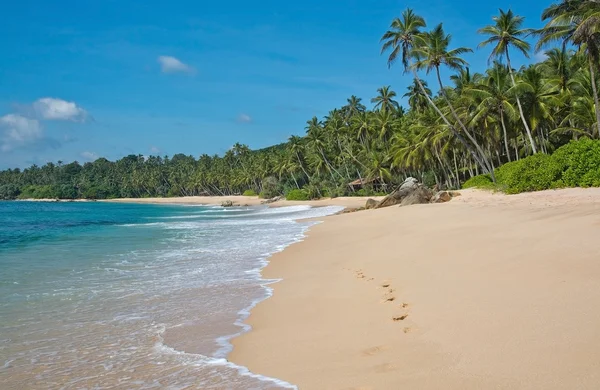Райский пляж с зелеными бирюзовыми волнами — стоковое фото