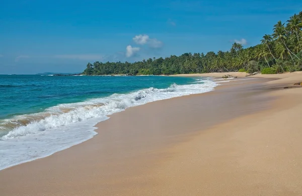 Paradise beach — Stock Photo, Image