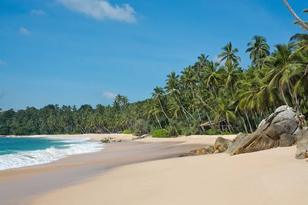 Paradise beach — Stock Photo, Image