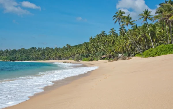 Paradise beach — Stock Photo, Image