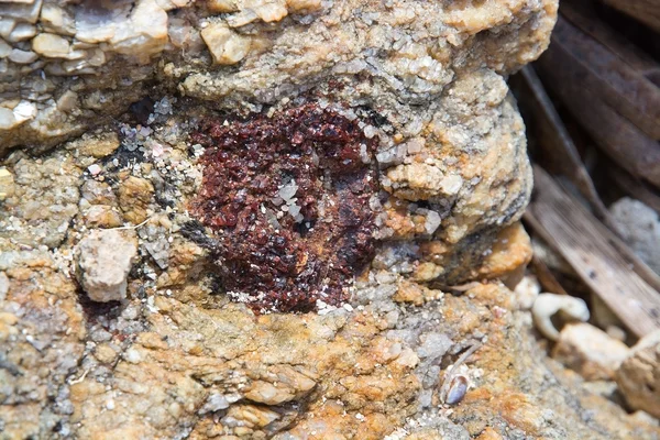 Red crystals closeup — Stock Photo, Image