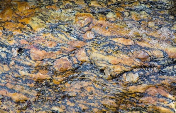 Gneiss metamorphic rock pattern