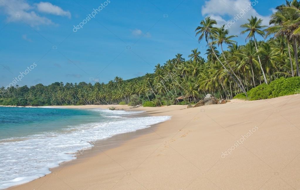 Plage Paradisiaque Photographie Artesiawells 75882323