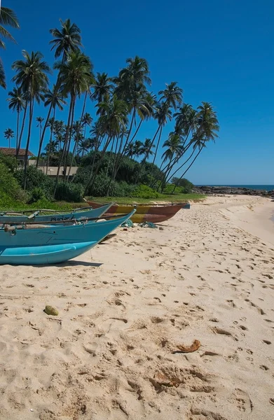 Beach with light wood boats on the Rocky Point beach — Stockfoto