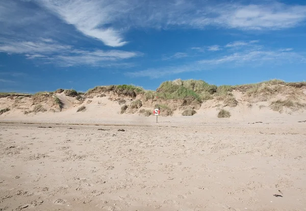 Wydmy i życie ptaków na plaży w mieście Falkenberg — Zdjęcie stockowe