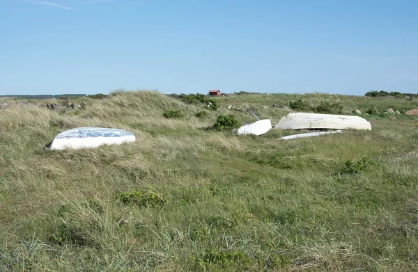 Green heath with resting boats — Stock fotografie