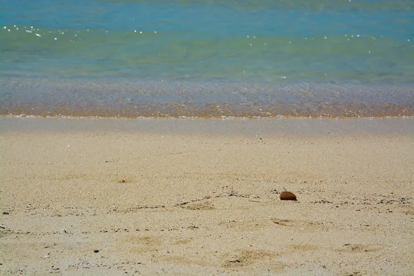 Small fiber ball on sandy beach — 图库照片