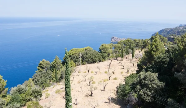 Paysage avec vue sur l'océan — Photo