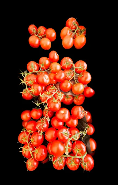 Rote Tomaten zum Verkauf — Stockfoto