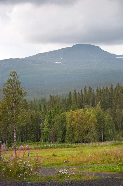 Schwedische Landschaft — Stockfoto