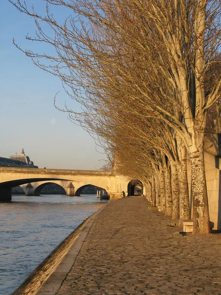 Paris broar i morgonljuset — Stockfoto