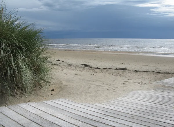 Sand dune landscape with wooden boardwalk — Stock Photo, Image