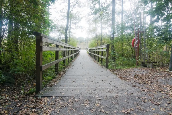 Boardwalk to lake — Stock Photo, Image