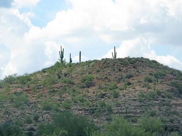 Southwestern desert landscape — Stock Photo, Image