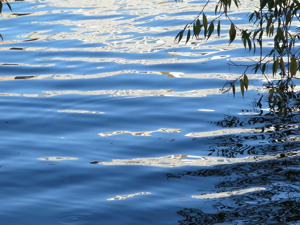 Blauer Wasserhintergrund mit Blättern — Stockfoto