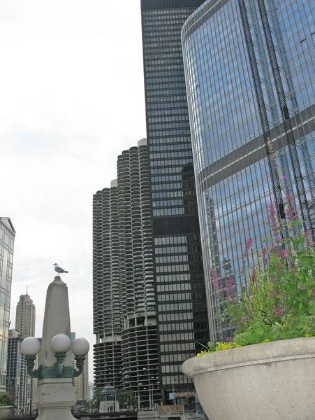 Gaviota en viejo poste de lámpara fuera de la Torre Trump — Foto de Stock