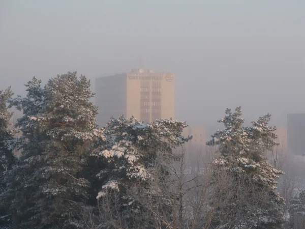 Vattenfall building across snowy tree tops — Stock Photo, Image