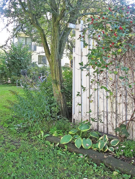 Vit vägg med träd och trött blomsterrabatt — Stockfoto