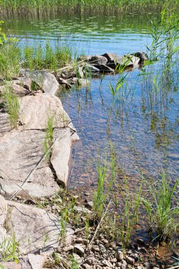 Lake edge with red granite rocks clipart