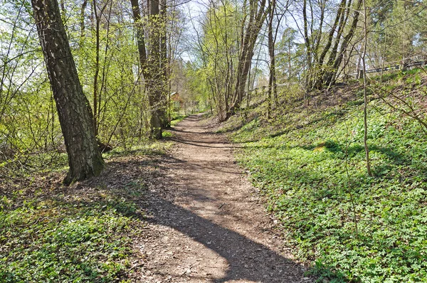 Pastorale vert printemps chemin paysage — Photo