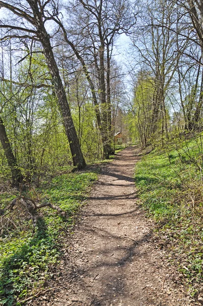 Duszpasterskiej wiosna zielony ścieżka krajobraz — Zdjęcie stockowe