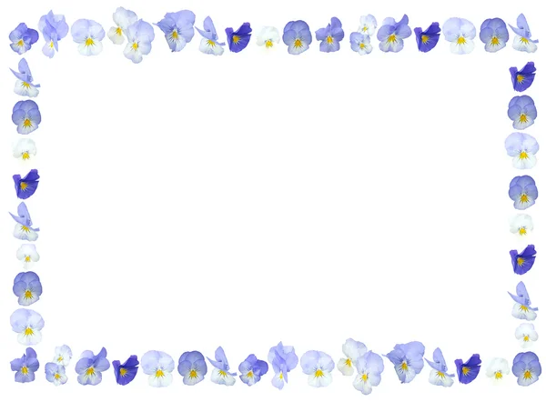 Violet paarse bloem achtergrond frame — Stockfoto