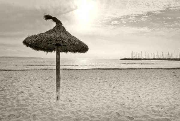 Parasols on winter beach — Stock Photo, Image