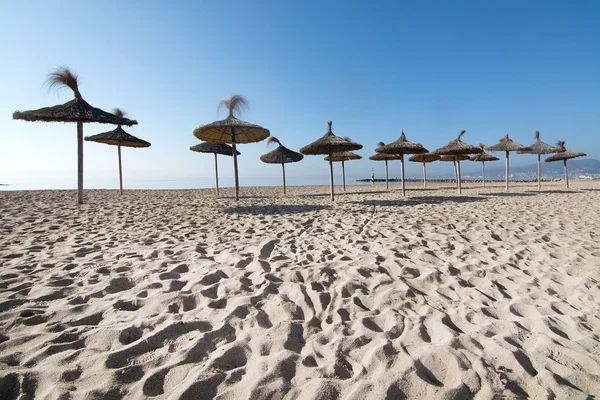 Straw parasols on sandy beach — Stock Photo, Image