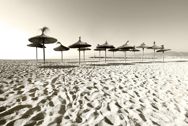 Straw parasols on sandy beach — Stock Photo, Image