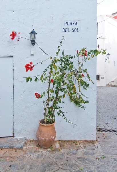 Detalle en el casco antiguo de Eivissa — Foto de Stock