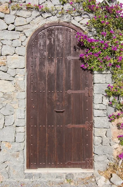 Brown door with pink bougainvillea — Stock Photo, Image