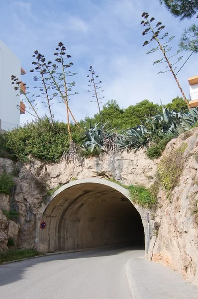Tunnel med vegetation — Stockfoto