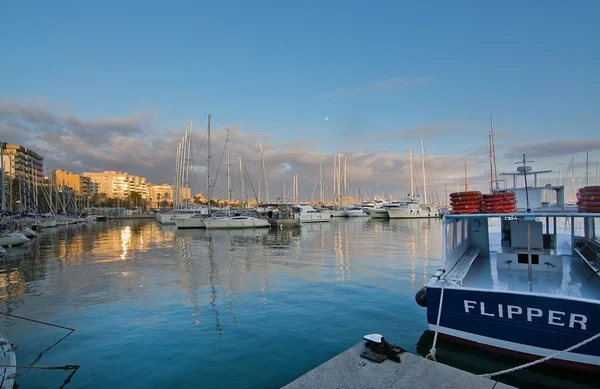 Bateaux de la marina de Palma amarrés — Photo