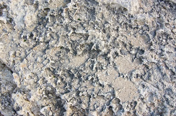 Textured limestone background — Stock Photo, Image