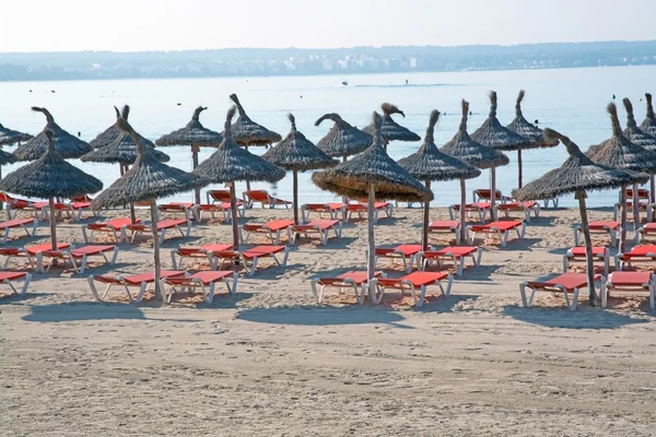 Parasols and lounges on sandy beach — Stock Photo, Image