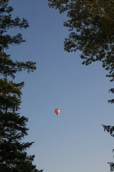 Air balloon between two trees — Stock Photo, Image