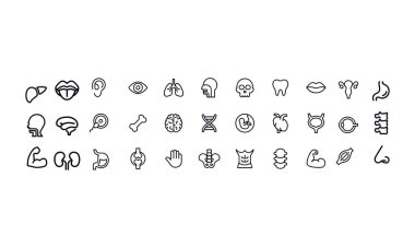  İnsan Anatomisi Simgesi vektör tasarımı 