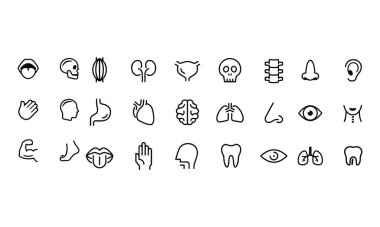  İnsan Organı Simgesi vektör tasarımı 