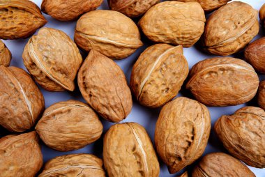 Geçmişi. Ceviz tamamen yüzeyi kaplar..