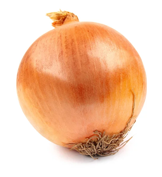 Golden Bulb Ripe Onion Isolated White Background — Foto Stock