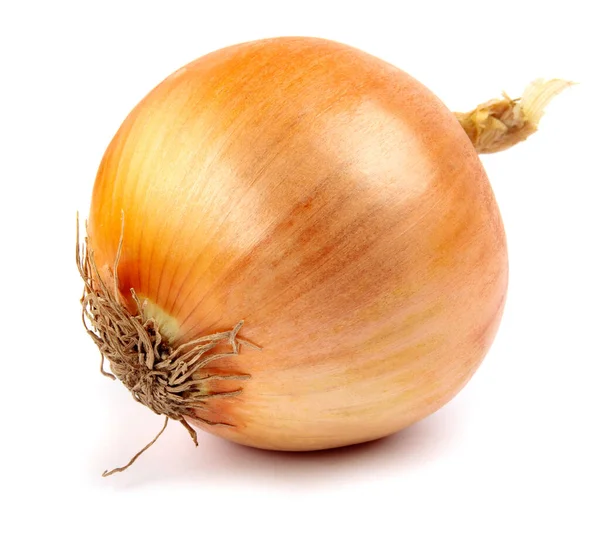 Golden Bulb Ripe Onion Isolated White Background — Stock fotografie