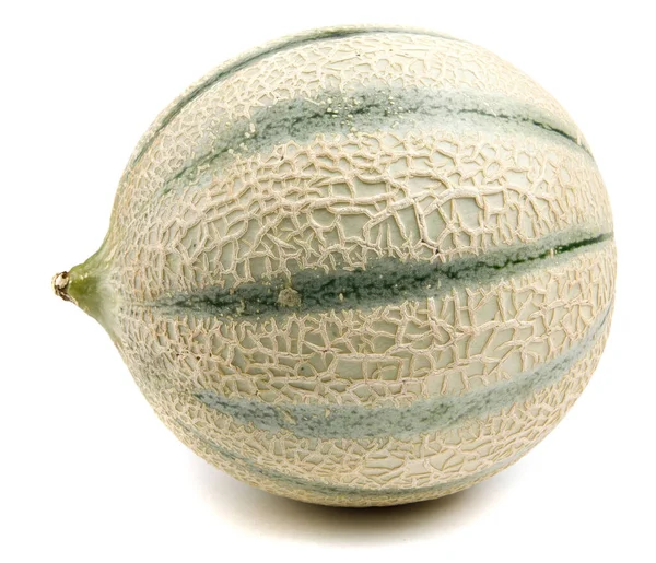 Melon Cantaloupe Isolated White Background Side View — Fotografia de Stock