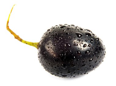 Kuyruklu siyah üzüm üzümü beyaz arka planda izole edilmiştir. Üzümlere su damlıyor..