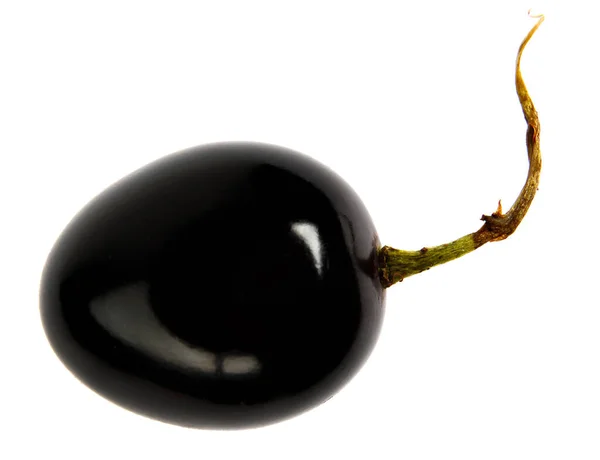 Kuyruklu Çok Güzel Bir Siyah Üzüm Üzümü Beyaz Arka Planda — Stok fotoğraf
