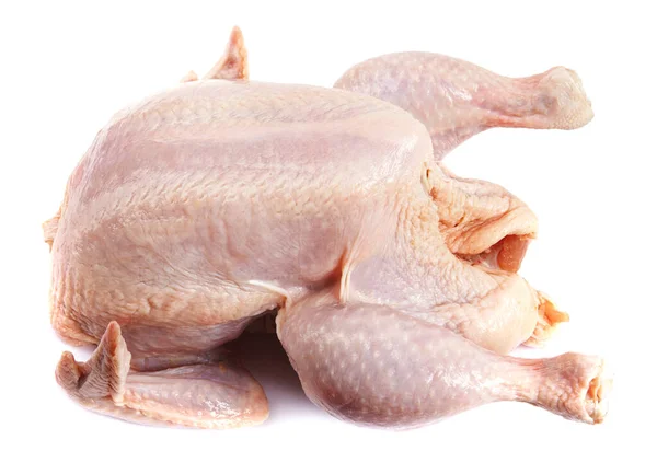 Broiler Ayam Diisolasi Pada Latar Belakang Putih — Stok Foto