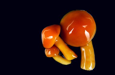 Siyah arka planda mantar turşusu. Turşulu bal mantarı..