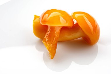 Parlak bir arka planda lezzetli turşulu mantarlar. Turşulu bal mantarı..