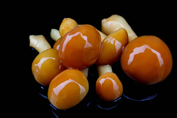 Leckere Eingelegte Pilze Auf Dunklem Hintergrund Eingelegte Honigpilze — Stockfoto